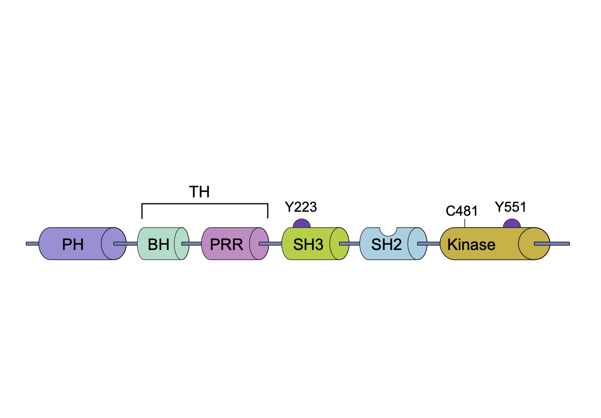 Structure of BTK tyrosine kinase inhibitor